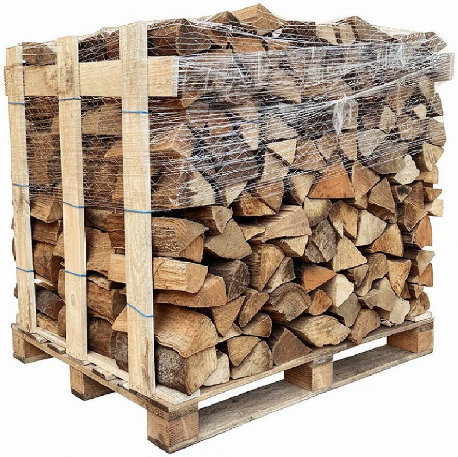 Buchen-Brennholz 30 cm kammergetrocknet auf Palette