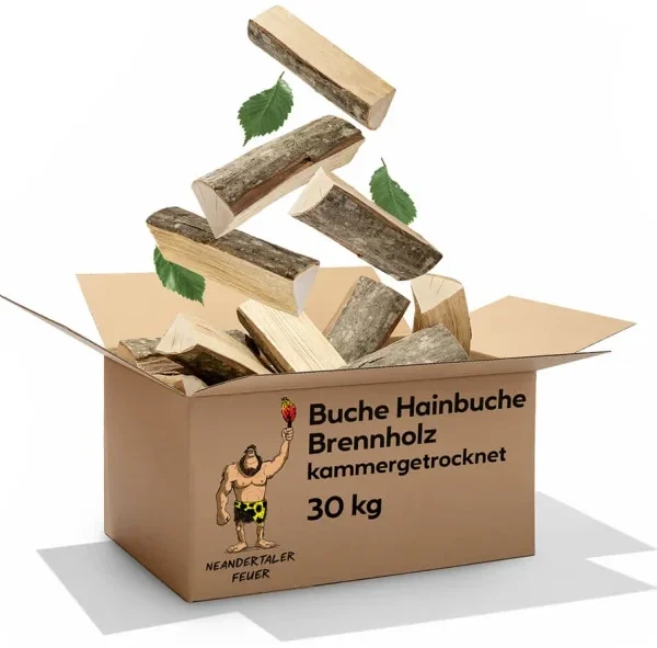 Brennholz Buche Hainbuche 300kg