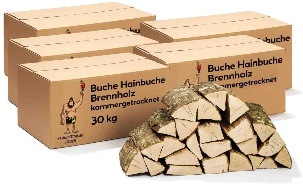 Brennholz Buche Hainbuche 150kg